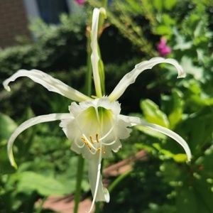 Meet your Posher, May